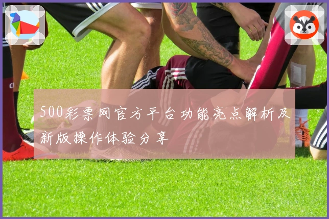500彩票网官方平台功能亮点解析及新版操作体验分享