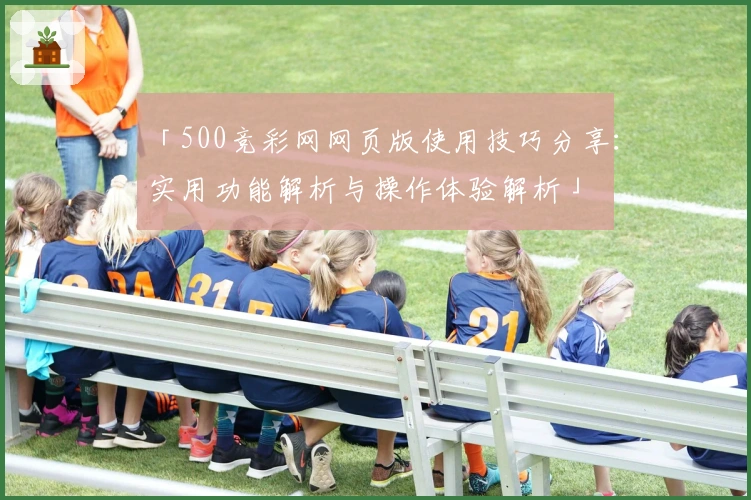 「500竞彩网网页版使用技巧分享：实用功能解析与操作体验解析」