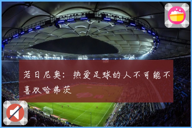 若日尼奥：热爱足球的人不可能不喜欢哈弗茨
