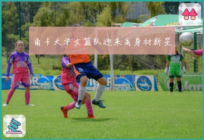 南卡大学女篮队迎来高身材新星