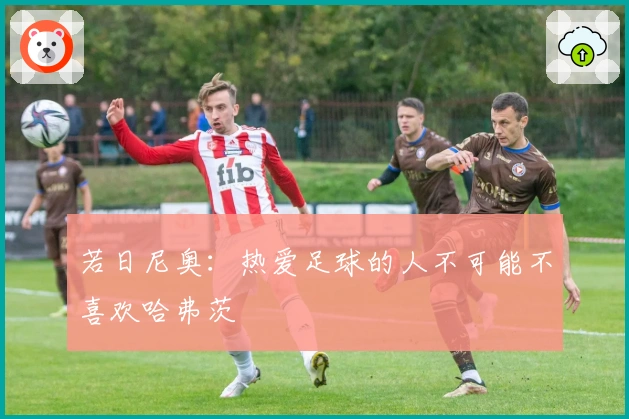 若日尼奥：热爱足球的人不可能不喜欢哈弗茨